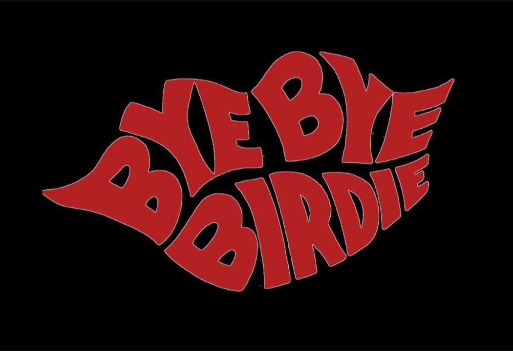 Bye Bye Birdie 1